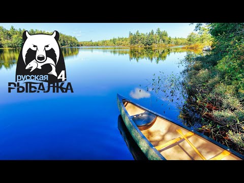 Видео: Русская Рыбалка 4  🔥🍀🔥 Russian Fishing 4