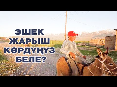 Видео: ЭШЕК ЖАРЫШ КӨРДҮҢҮЗ БЕЛЕ?  | ЭРЛАН ЖЫРГАЛБЕК УУЛУ