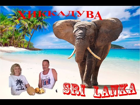 Видео: Шри ланка 1ч.Хиккадува. Отель Coral Sands/ апрель 2022г.
