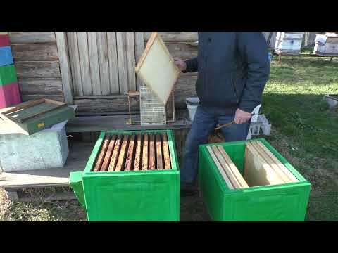 Видео: противороевой метод ДЕМАРИ за и против.