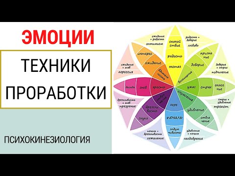 Видео: ЭМОЦИИ.РОМАШКА ПЛУТЧИКА.ТЕХНИКИ ПРОРАБОТКИ ЭМОЦИЙ. ПСИХОКИНЕЗИОЛОГИЯ. КИНЕЗИОЛОГИЯ.