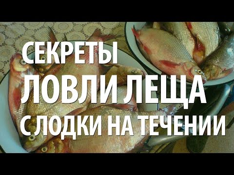 Видео: РЫБА ЛЕЩ - КАК ЛОВИТЬ ЛЕЩА на ТЕЧЕНИИ с ЛОДКИ