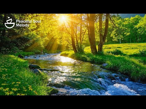 Видео: Нежное фортепиано 🌿 Звуки исцеления для восстановления нервной системы