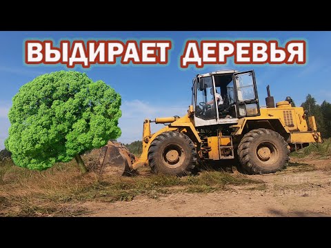 Видео: ТРАКТОР ВАЛИТ ДЕРЕВЬЯ, РАСЧИСТКА УЧАСТКА ОТ ЗАРОСЛЕЙ