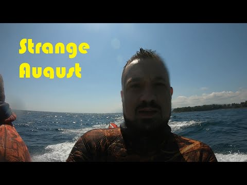 Видео: Странен август - подводен риболов в Черно Море