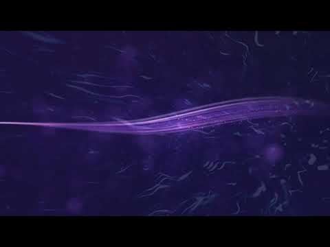 Видео: Хорошие плохие дни