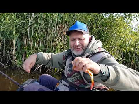 Видео: Рыбалка на р. Березина . Fishing in Belarus