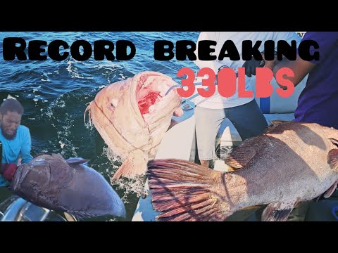 Видео: Рекордный 330-фунтовый Варшава Тринидад 🇹🇹 | Северное побережье, непрерывное движение | Около 500...