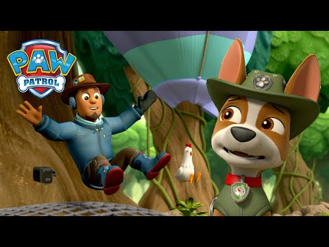 Видео: Кученцата спасяват Чикалета от крокодили и още! - PAW Patrol Bulgarian - карикатури за деца