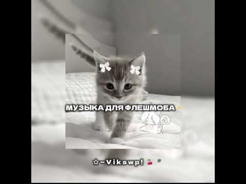 Видео: музыка для флешмоба ⚡