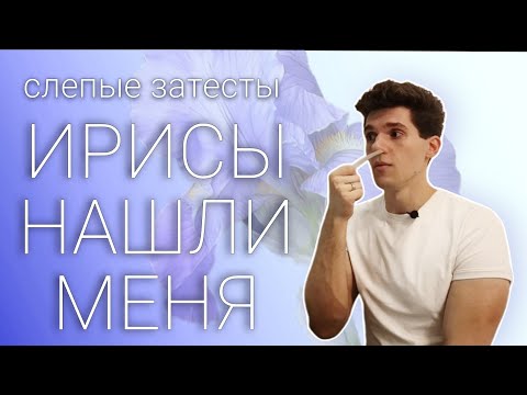 Видео: ШОКИРУЮЩИЕ слепые затесты 