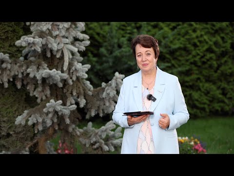 Видео: 3701. Хлеб на каждый день. 14 ноября. Псалом 91:5