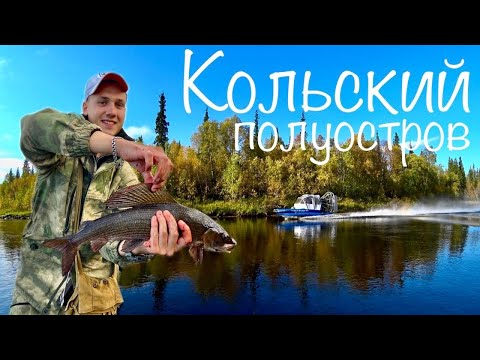 Видео: РЫБАЛКА НА КОЛЬСКОМ 2025! ЗАБРОСКА В ГЛУХИЕ МЕСТА. Установка лагеря. Ассорти из Хариуса ч. 1