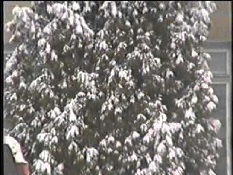 Видео: Вышний - Волочёк 1997 зима (Орлов Александр)