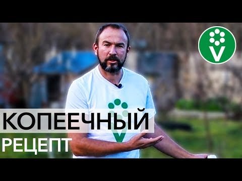 Видео: Защитите МОЛОДЫЕ ДЕРЕВЬЯ ЗИМОЙ от всех бед!