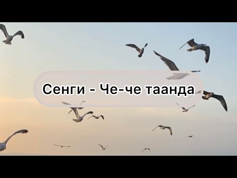 Видео: [Тыва караоке] Сенги - Че-че таанда