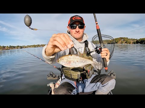 Видео: Эта наживка клюёт просто НЕРЕАЛЬНО — плоскоголовый сом клюёт на полную катушку!