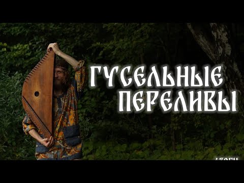 Видео: ГУСЛИ 432ГЦ ГУСЕЛЬНЫЕ ПЕРЕЛИВЫ!