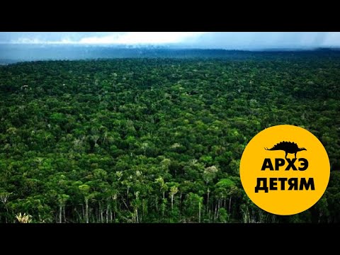 Видео: Джунгли | Александр Хабургаев (выпуск 14)