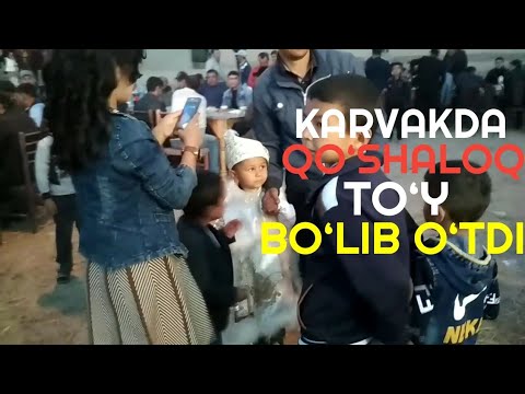 Видео: Карвакда пақалар кўшалок тўйи