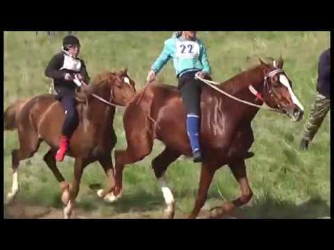 Видео: Аламан бәйге - Шахан кокек часть-2