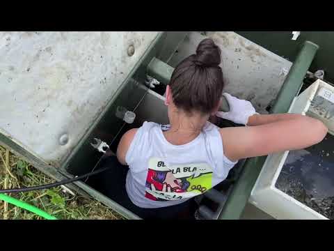 Видео: Топас 9. Сервисное обслуживание. Свистуха.