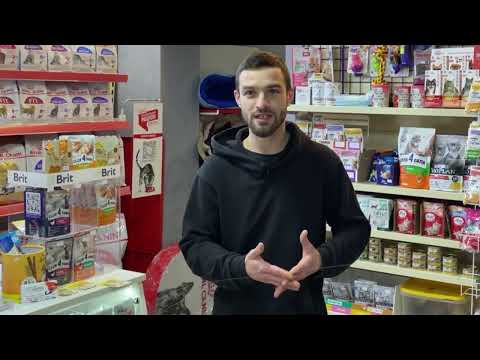 Видео: 2 ЗООМАГАЗИНА | У меня получилось