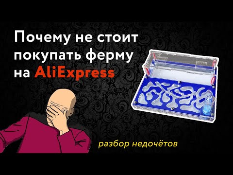 Видео: Муравьиная ферма с Aliexpress. Почему не стоит покупать формикарий в Китае