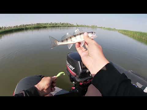 Видео: РЕКА БЕЛАЯ _ Рыбалка на спиннинг _ РЫБОЛОВНАЯ база