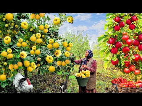 Видео: Жизнь в Деревне. Знаменитые Рецепты в 2-Часовом Видео.