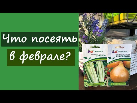 Видео: Что посеять в феврале?