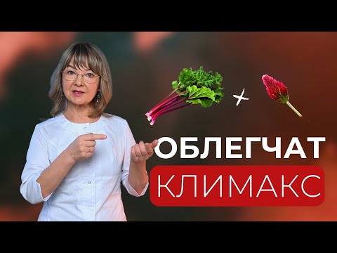 Видео: Менопауза. Как облегчить симптомы климакса: приливы, головные боли, потливость, скачки давления и тд