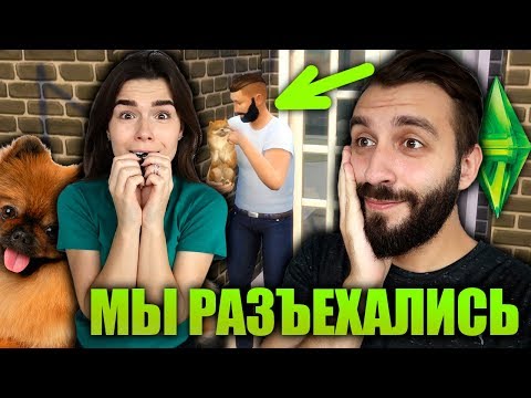 Видео: КУПИЛИ СОБАКУ И РАЗЪЕХАЛИСЬ | SIMS 4