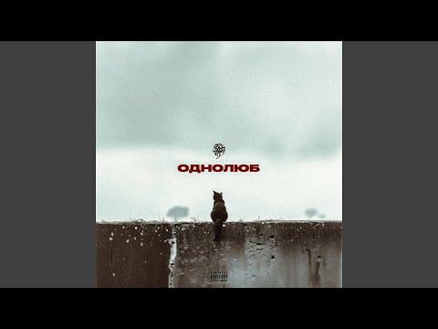 Видео: Однолюб