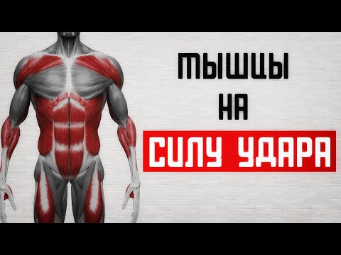 Видео: От чего зависит сила удара! Как тренировать силу удара!