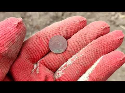 Видео: В огороде с TIANXUN TX850 и GOLD HUNTER T90. Про китайские металлоискатели