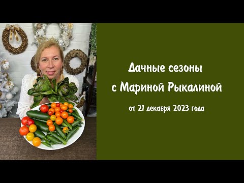Видео: Дачные сезоны с Мариной Рыкалиной от 21 декабря 2023 года