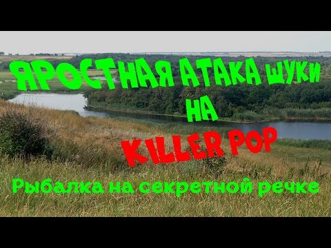 Видео: Яростная атака щуки на Killer Pop