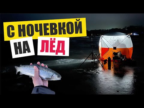 Видео: Рыбалка с ночевкой близ Алматы, посёлок Караой, пруд номер 2. Форель хитрая рыба #Fishing