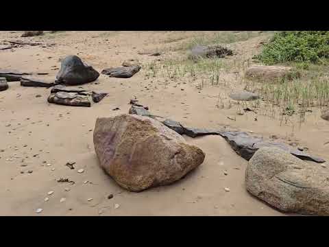 Видео: Гуляем у моря