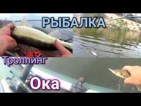 Видео: вечерняя рыбалка троллингом на оке, судак выходи......
