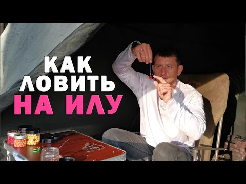 Видео: Корм, поводки, насадки для успешной ловли на илу. Подробно с примерами. Карпфишинг