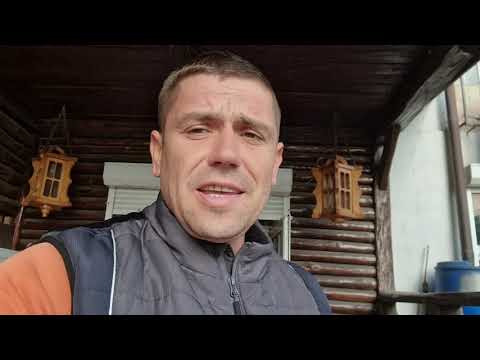 Видео: Як правильно Посадити і Обрізати різні Плодові дерева і кущі