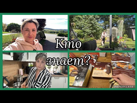 Видео: Кто знает?как спасти?законы в октябре,кто пользуется пароочистителем?нужна помощь,про зубы завтра 