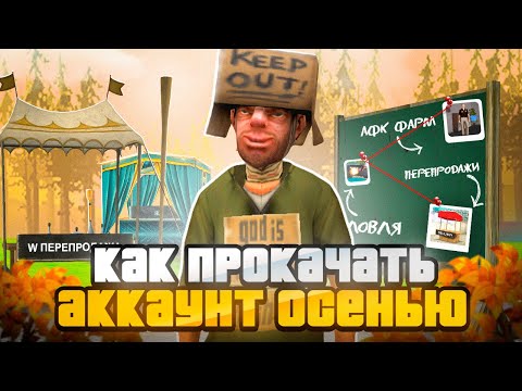 Видео: АФК ФАРМ ОСЕНЬЮ на АРИЗОНА РП! 🍂💰 ЛУЧШИЕ ВЛОЖЕНИЯ на ARIZONA RP (GTA SAMP)