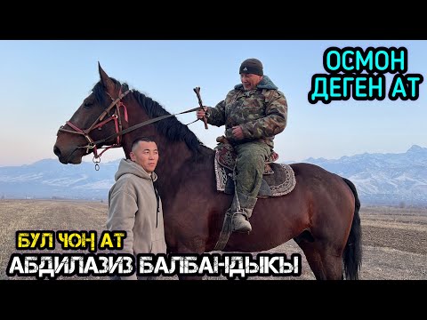 Видео: АБДИЛАЗИЗ БАЛБАНДЫН ӨСПҮРҮМДӨРҮ САТУУГА ЧЫКТЫ / НООКАТ @Aalamkabar97