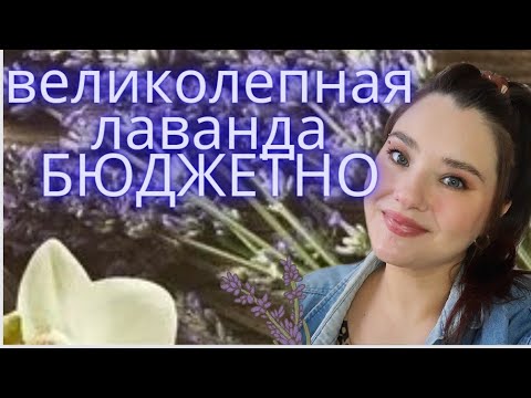 Видео: 💜GEORGES RECH💜 Alexandrie Mon Amour. Уютный аромат про лаванду и ваниль. Бюджетная находка.