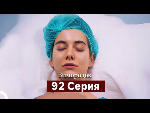 Видео: Зимородок 92 Cерия (Русский дубляж)