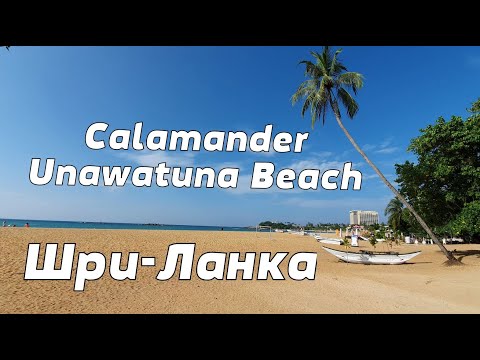 Видео: Отель Calamander Unawatuna Beach. Унаватуна, Шри-Ланка