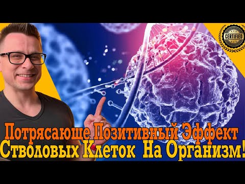 Видео: Стволовые клетки восстанавливают твой организм! Как увеличить их количество?!